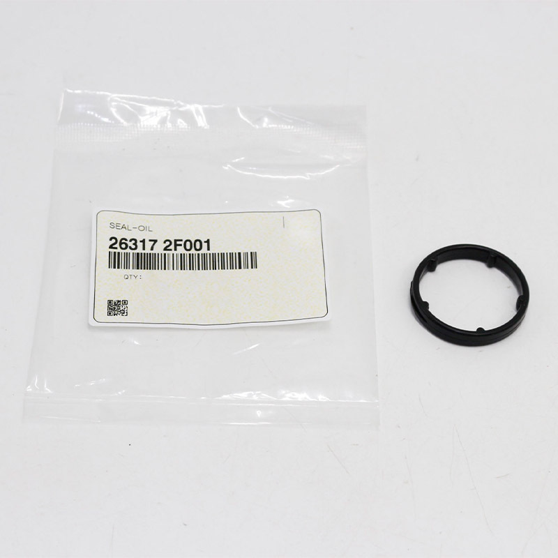 Sello del filtro de aceite del motor (trasero) — Hyundai Santa Fe (263172F001)