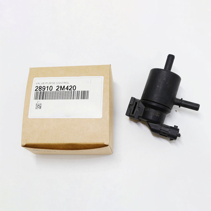 Purge Solenoid Valve — Hyundai (289102M420)