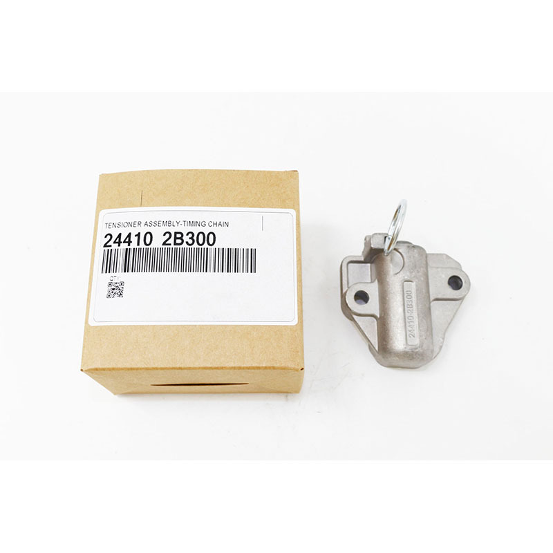 Timing Chain Tensioner — Hyundai/Kia Soul/Rio 1.6L (244102B300)