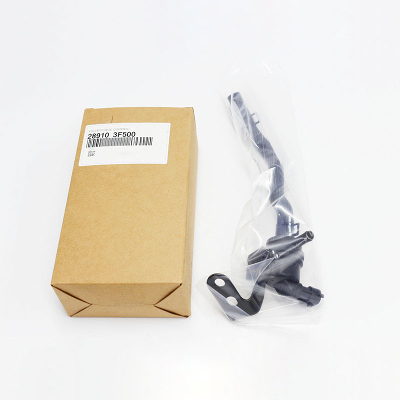 Canister Purge Valve — Hyundai Creta, Kia K900 5.0L (289103F500)