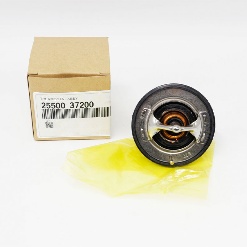 Coolant Thermostat — Hyundai Santa Fe, Hyundai Tucson, Kia Sorento (2550037200)
