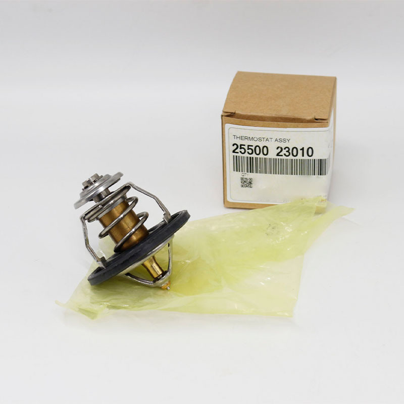 Thermostat — Hyundai Santa Fe, Hyundai Sonata, Kia, Ford (2550023010)