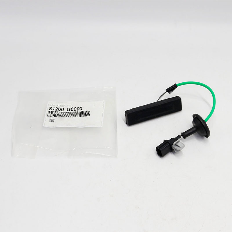 Tailgate Trunk Lid Outside Handle and Lock — Hyundai, Kia (81260G6000)