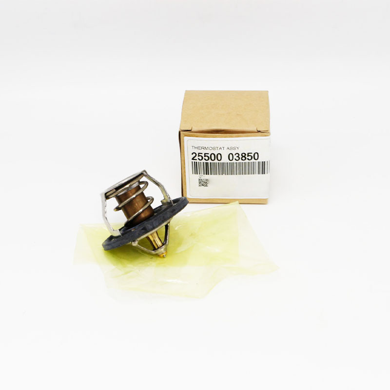 Engine Coolant Thermostat — Hyundai Creta, i30, i20, Kia Rio (2550003850)