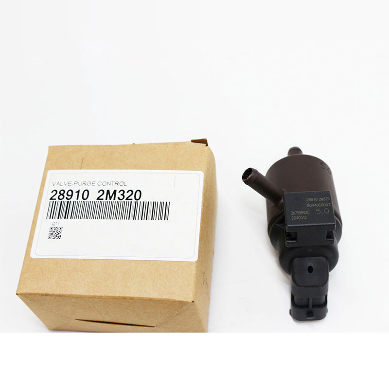 Canister Purge Control Solenoid Valve — Hyundai Elantra / Kia Forte (289102M320)
