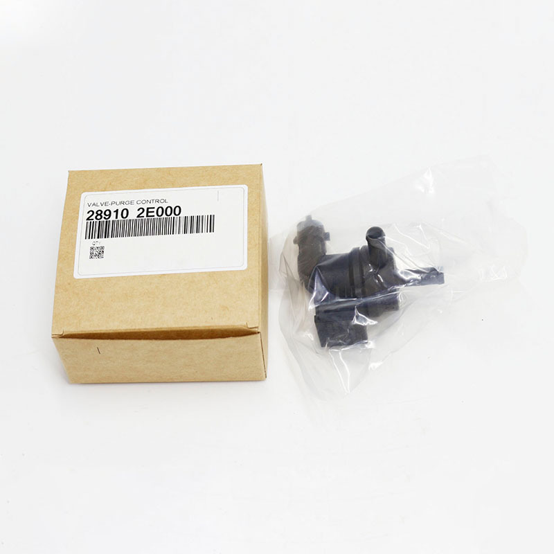 Vapor Canister Purge Valve — Hyundai Elantra, Hyundai Tucson, Kia, Ford (289102E000)