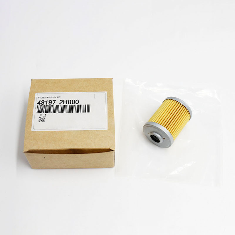 Automatic Transmission Filter (481972H000, C0GF148197-2H000)