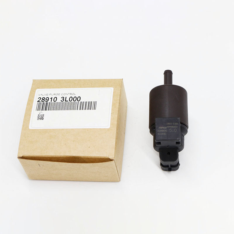 Evaporative Emission Purge Solenoid Valve — Hyundai Accent/Elantra, Kia Rio (289103L000)