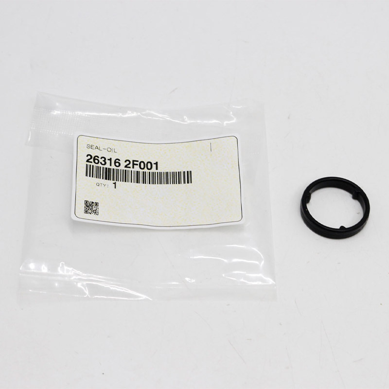 Oil Seal — Hyundai Santa Fe (263162F001)