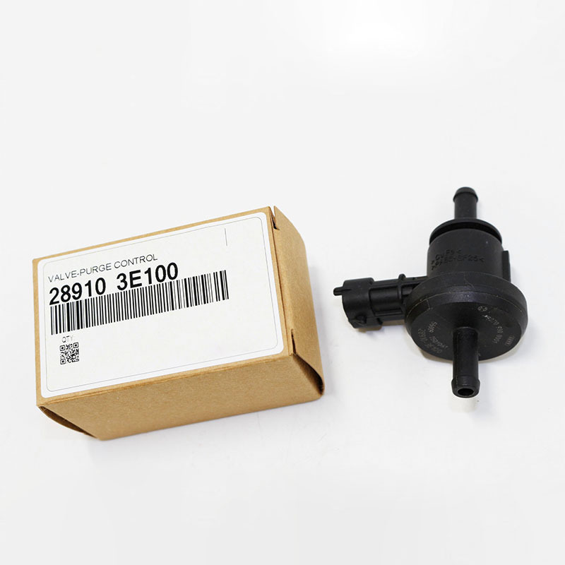 Purge Control Valve — Hyundai Santa Fe 2.7L 2006-2009 (289103E100)